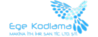 EGE KODLAMA